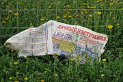 mo image